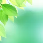 事業所概要